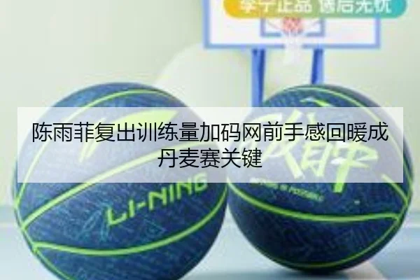 陈雨菲复出训练量加码网前手感回暖成丹麦赛关键